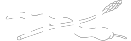 Logo Web Ehoja